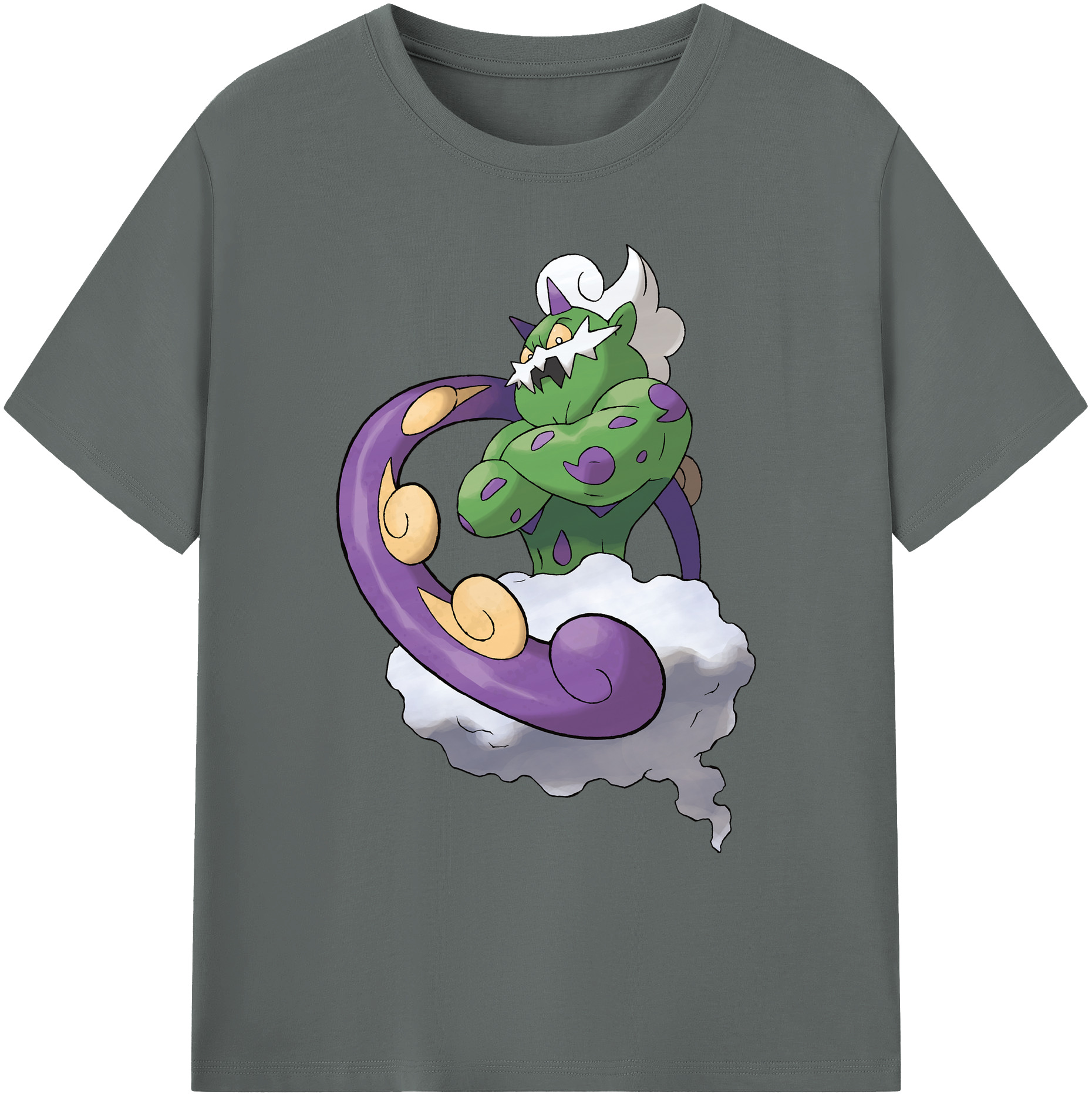 （画像用） ポケットモンスター Pokémon 綿100％ メンズ半袖Tシャツ｜肌触りやわらか＆通気性